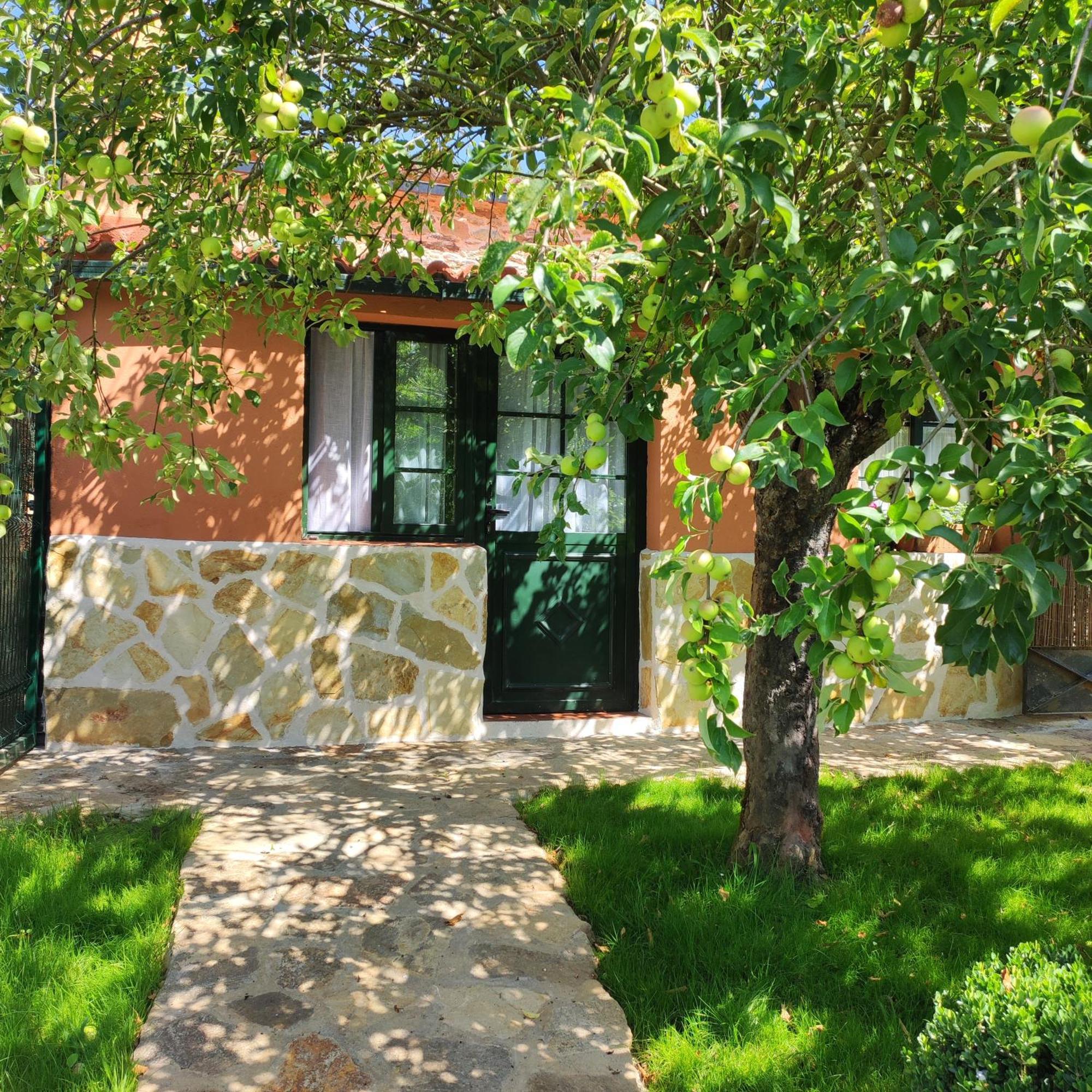 Casa Dos Cregos Apartment Bascuas Exterior photo